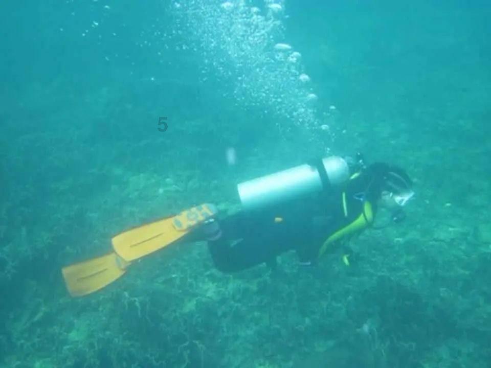 小猫钓鱼开船版最新版下载